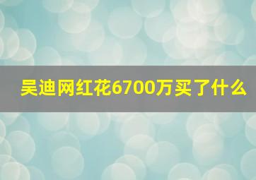 吴迪网红花6700万买了什么