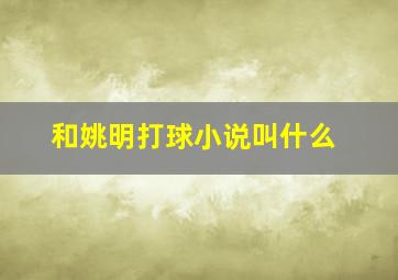 和姚明打球小说叫什么