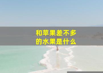 和苹果差不多的水果是什么