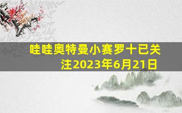 哇哇奥特曼小赛罗十已关注2023年6月21日