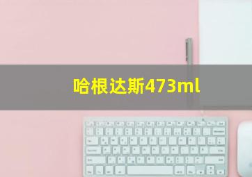 哈根达斯473ml