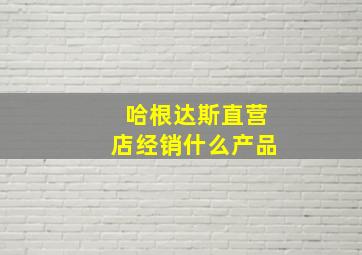 哈根达斯直营店经销什么产品