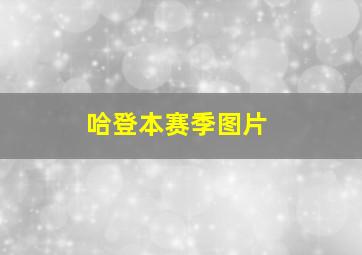 哈登本赛季图片