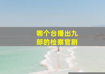 哪个台播出九部的检察官剧