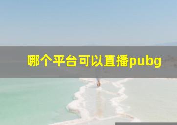 哪个平台可以直播pubg