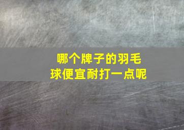 哪个牌子的羽毛球便宜耐打一点呢