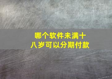 哪个软件未满十八岁可以分期付款