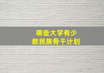 哪些大学有少数民族骨干计划