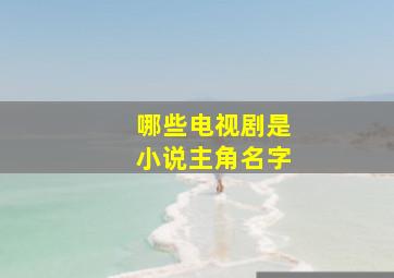 哪些电视剧是小说主角名字