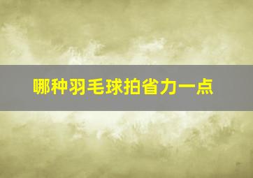 哪种羽毛球拍省力一点