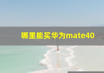 哪里能买华为mate40