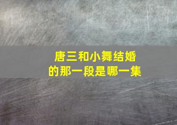 唐三和小舞结婚的那一段是哪一集