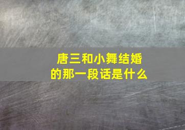 唐三和小舞结婚的那一段话是什么