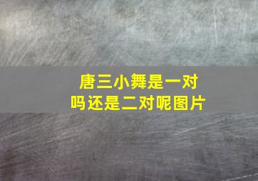 唐三小舞是一对吗还是二对呢图片