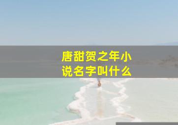 唐甜贺之年小说名字叫什么