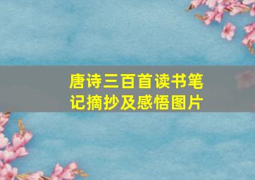 唐诗三百首读书笔记摘抄及感悟图片