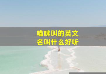 喵咪叫的英文名叫什么好听