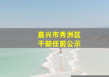 嘉兴市秀洲区干部任前公示