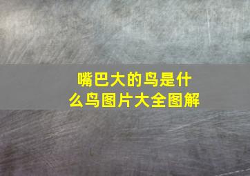 嘴巴大的鸟是什么鸟图片大全图解