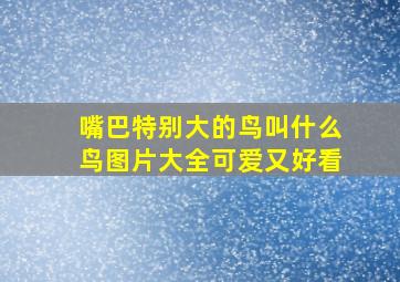 嘴巴特别大的鸟叫什么鸟图片大全可爱又好看