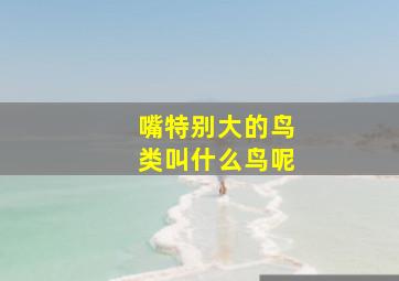 嘴特别大的鸟类叫什么鸟呢