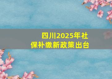 四川2025年社保补缴新政策出台