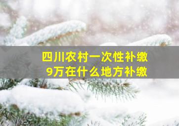 四川农村一次性补缴9万在什么地方补缴