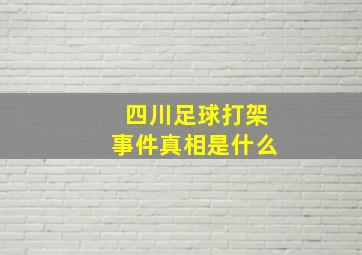 四川足球打架事件真相是什么