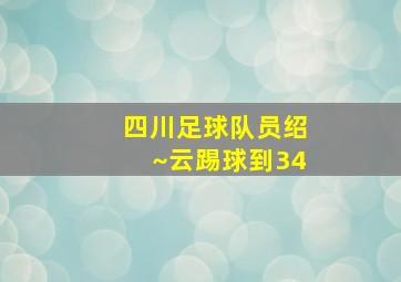 四川足球队员绍~云踢球到34