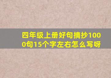 四年级上册好句摘抄1000句15个字左右怎么写呀