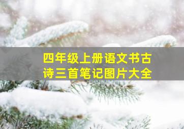 四年级上册语文书古诗三首笔记图片大全