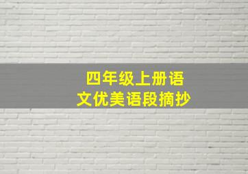 四年级上册语文优美语段摘抄