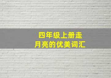 四年级上册走月亮的优美词汇