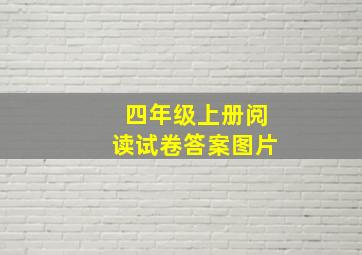 四年级上册阅读试卷答案图片