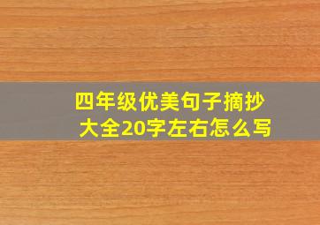 四年级优美句子摘抄大全20字左右怎么写