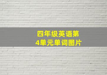 四年级英语第4单元单词图片