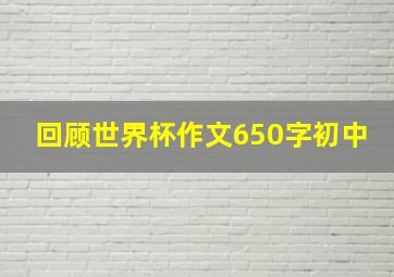 回顾世界杯作文650字初中