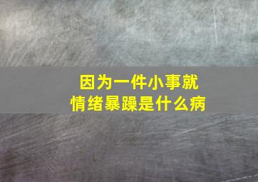 因为一件小事就情绪暴躁是什么病