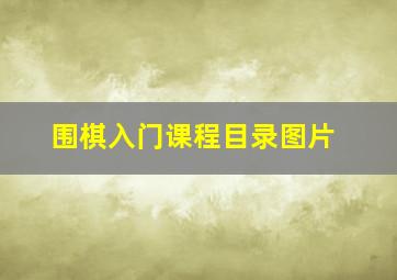 围棋入门课程目录图片