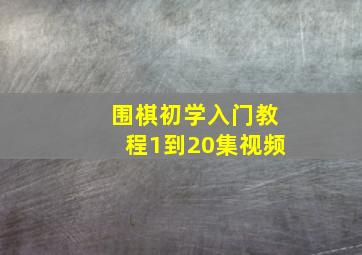 围棋初学入门教程1到20集视频