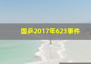 国乒2017年623事件