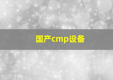 国产cmp设备