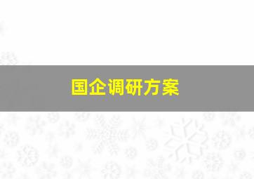 国企调研方案