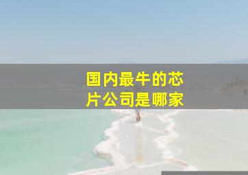 国内最牛的芯片公司是哪家