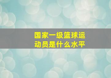 国家一级篮球运动员是什么水平