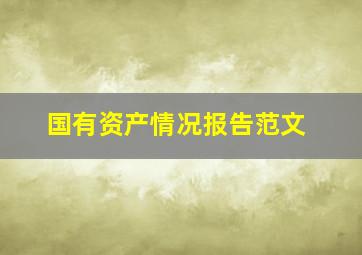 国有资产情况报告范文