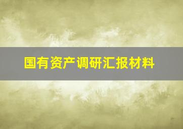 国有资产调研汇报材料