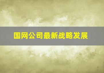 国网公司最新战略发展