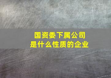 国资委下属公司是什么性质的企业