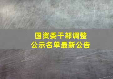 国资委干部调整公示名单最新公告